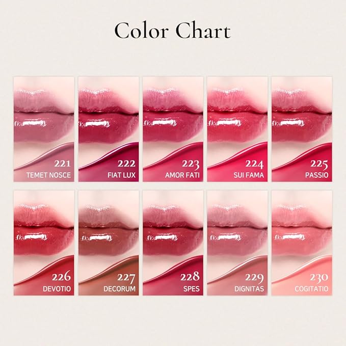 DINTO Blur-Glowy Lip Tint - Glossy Finish, Hydrating, Long Lasting, Lightweight Texture, Non-Sticky, Vegan & Cruelty-Free, K beauty (211 Venus, 0.11 fl.oz) (30 colors)