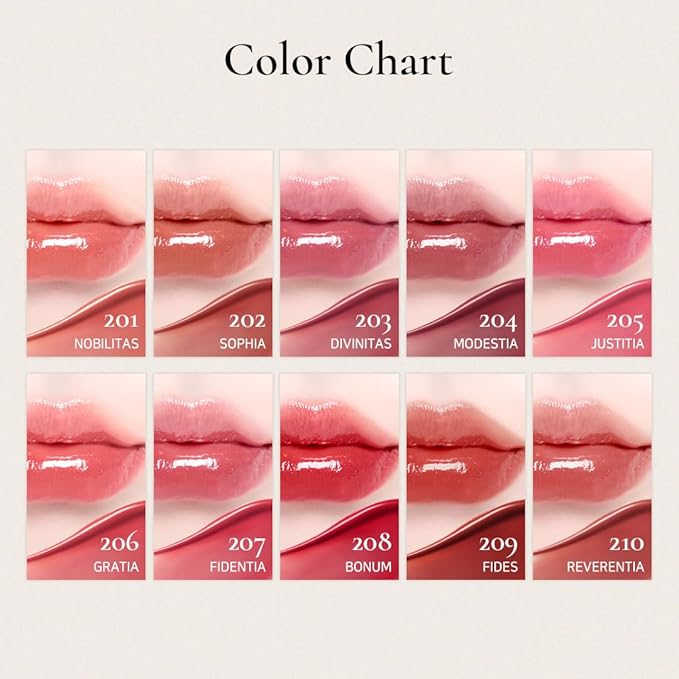DINTO Blur-Glowy Lip Tint (229 Dignitas)