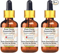 Greenwood Essential Pure Clove Essential Oil (Syzygium aromaticum) with Glass Dropper Steam Distilled (Pack of Three) 100ml X 3 (10.1oz)
