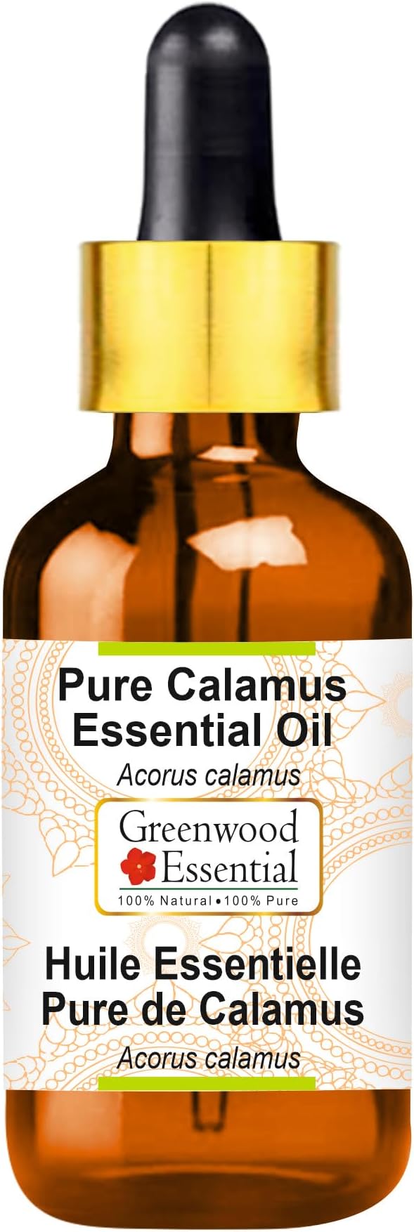 Greenwood Essential Pure Calamus Essential Oil (Acorus Calamus) with Glass Dropper Steam Distilled 100ml (3.38 oz)