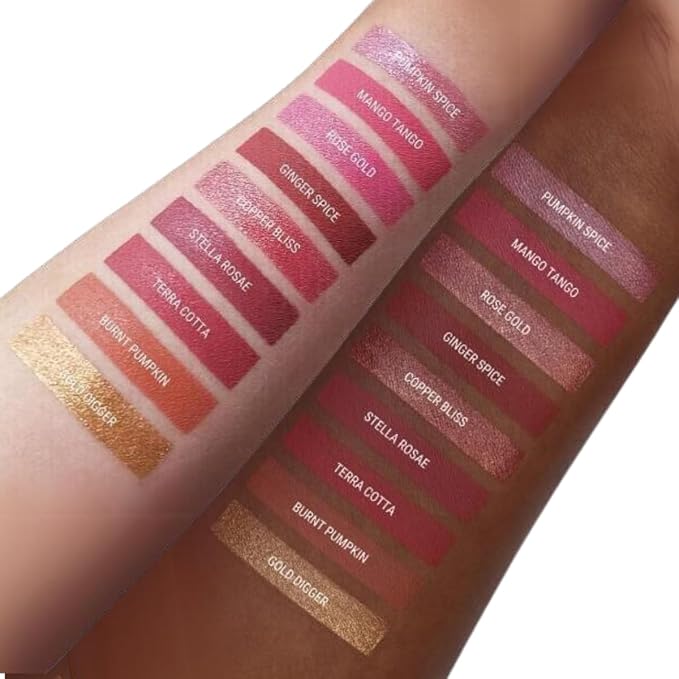 Aromi Matte Liquid Lipstick | Long-Lasting, Burnt Orange Lip Color, Pumpkin Spice, Nutmeg, Vegan, Cruelty-Free, Waterproof, Fall Makeup (Terra Cotta)