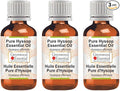 Greenwood Essential Pure Hyssop Essential Oil (Hyssopus officinalis) Steam Distilled (Pack of Three) 100ml X 3 (10.1oz)