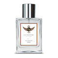 CA Perfume Impression of Terre for Men Woody Spicy Fragrance Long Lasting Mens Cologne Eau De Parfum 1.7 Fl Oz 50ml