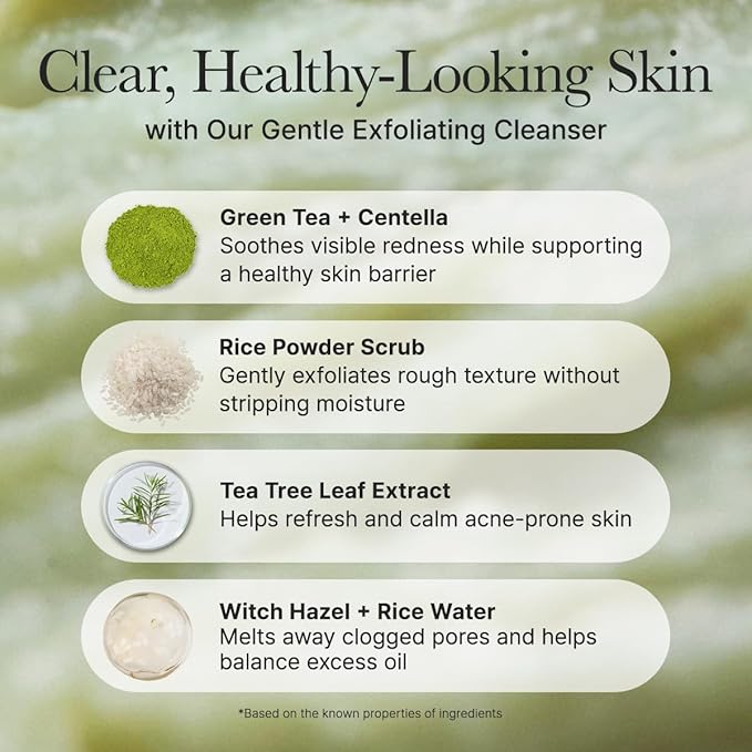 ARENCIA Korean Rice Mochi Face Cleanser - Face Wash, Gentle Scrub All in One for Deep Cleansing, Moisturizing, Pore Minimizing, Acne-Prone Skin, Removing Blackhead with Rice Water & Green Tea