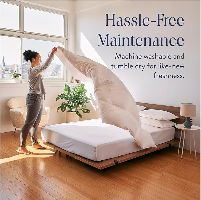 Brooklinen Lightweight Luxury Down Comforter, 100% Natural Canadian Duck Down Duvet Insert - 650 Fill Power, 100% Cotton Shell, Twin/Twin XL Size Comforter for Warm Sleepers