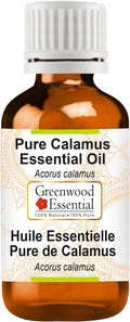 Greenwood Essential Calamus Essential Oil (Acorus Calamus) Pure | Non-Sticky | Non-Greasy | Lightweight | Men & Women | All Skin Types | Steam Distilled 50ml (1.69 oz)