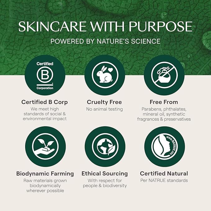 Weleda Skin Food Face Care Nourishing Day Cream, 1.3 Fluid Ounce, Plant Rich Moisturizer with Olive Leaf Extract, Squalane and Chamomile