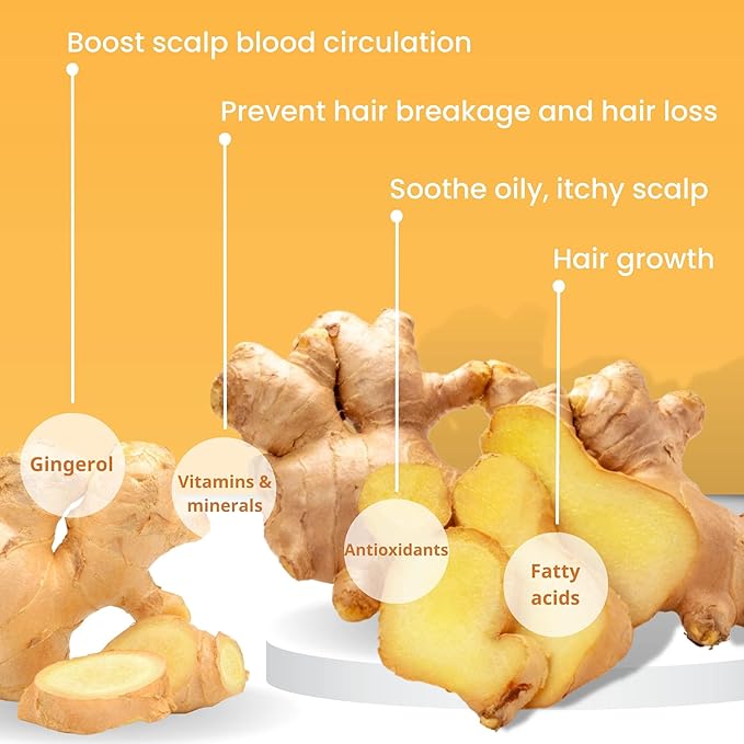 Muun Ginger Shampoo and Conditioner Bar Pack 3 - Hair Growth & Regrowth, Anti Hair Loss, Strengthen & Volumize, pH Balanced - Sulfate & Silicone Free For All Hair Type - Solid Soap for Travel