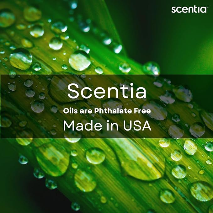 Scentia W Magic Hotel Diffuser Oil - 120 mL 4.06 fl oz - Aromatherapy Fragrance Inspired by 5-Star Hotels - Thanksgiving & Holiday Gift | Notes of Bergamot, Lemongrass, Jasmine