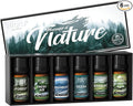 HIQILI Nature Fragrance Oil 6x10ml, Scented Oil for Candle Scents Soap Making & Diffuser, Essential Oils Set for Soy Candles Slime Home Car Aromatherapy, for Men Women Halloween Thanksgiving