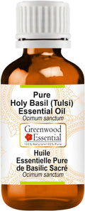 Greenwood Essential Holy Basil Essential Oil (Ocimum Sanctum) Pure | Non-Sticky | Non-Greasy | Lightweight | Men & Women | All Skin Types | Steam Distilled 30ml (1 oz)