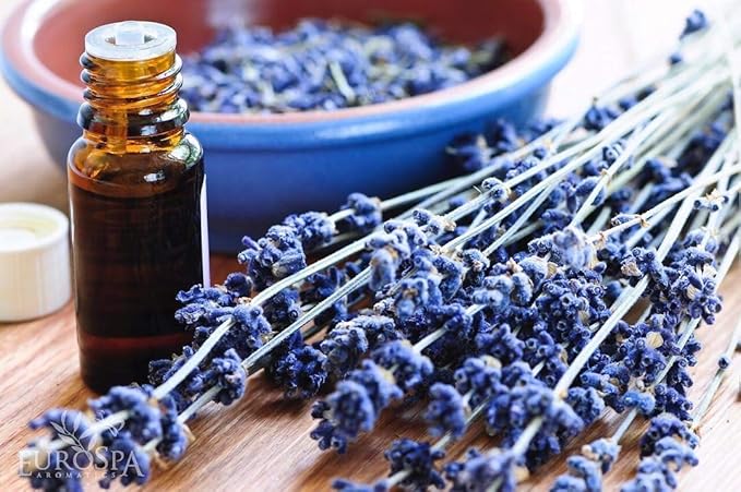 EuroSpa Aromatics Pure Eucalyptus Oil ShowerMist and Steam Room Spray, All-Natural Premium Aromatherapy Essential Oils - Lavender Infused, 8oz, 2 Pack