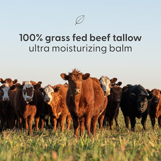 100% Grass Fed Beef Tallow for Skin, Body and Face | Moisturizing Honey Balm Scented with Cinnamon, Rosemary, Peppermint and Clove Bud Essential Oils | Suitable For Dry & Irritated Skin, 2 oz (57g)