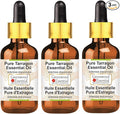 Greenwood Essential Pure Tarragon Essential Oil (Artemisia Dracunculus) with Glass Dropper Steam Distilled (Pack of Three) 100ml X 3 (10 oz)